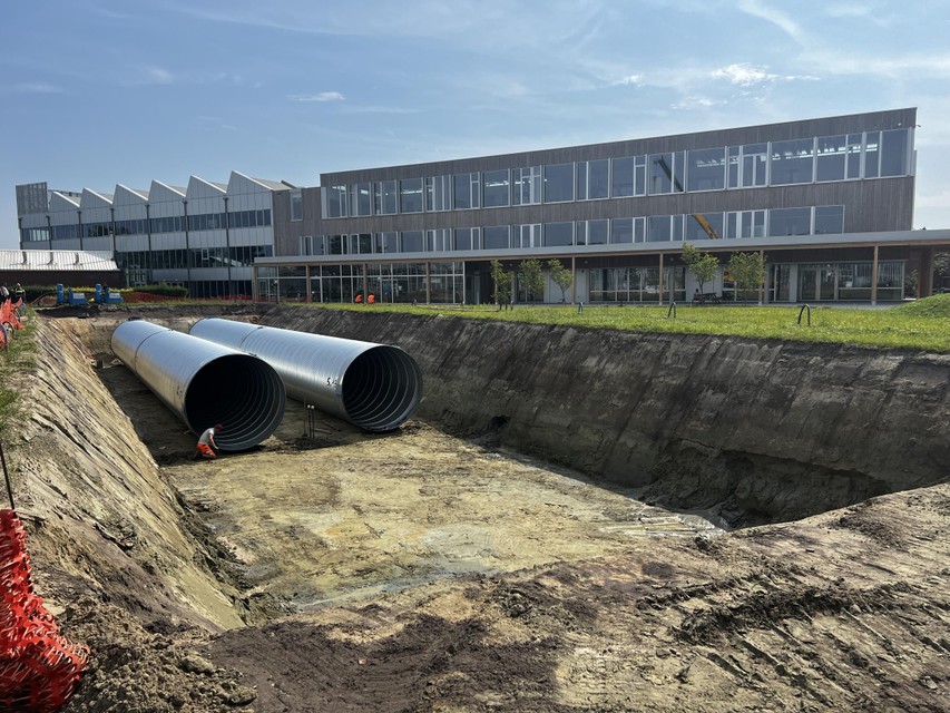 https static.nieuwsblad.be Assets Images Upload 2024 08 21 0acb082b 4d6b 4945 9198 e4ab0e170827 https static.nieuwsblad.be Assets Images Upload 2024 08 21 0acb082b 4d6b 4945 9198 e4ab0e170827